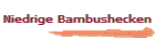 Niedrige Bambushecken